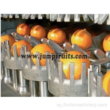Makineritë e linjës së përpunimit të lëngut të portokallit të frutave NFC